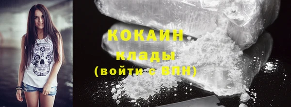 кокс Арсеньев