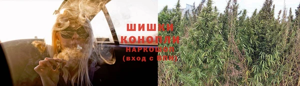 ешки Алзамай