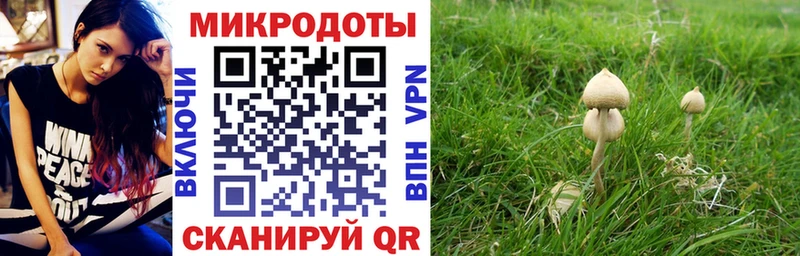 Псилоцибиновые грибы прущие грибы  где купить наркотик  Петропавловск-Камчатский 